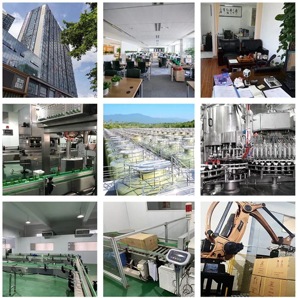 200g Gluten-Free Nice Taste Panko Yellow Bread Crumbs with Bag Packing Supplier