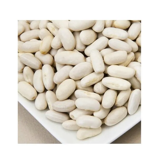 Wholesale Natural White Kidney Bean / Large White Kidney Beans