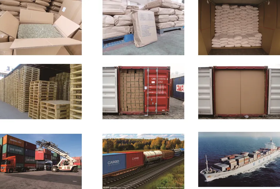 Wholesale Natural White Kidney Bean / Large White Kidney Beans