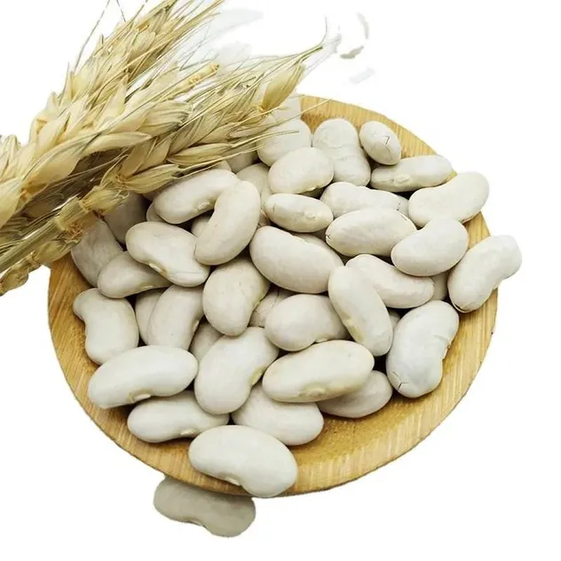 Wholesale Natural White Kidney Bean / Large White Kidney Beans