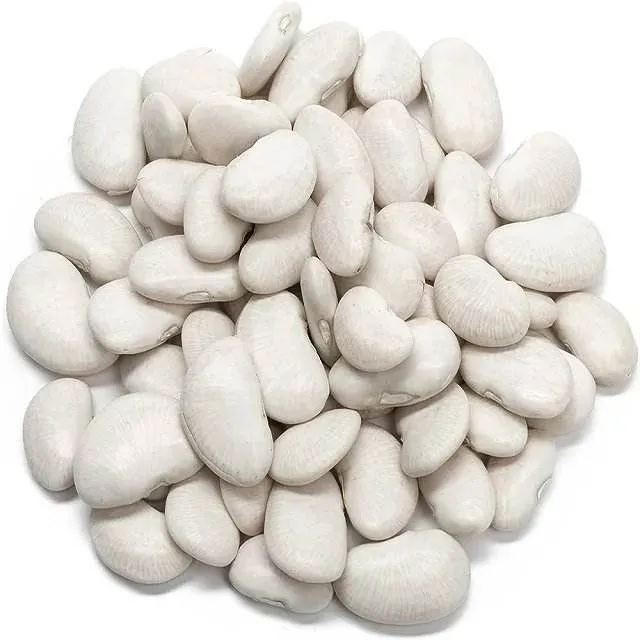 Wholesale Natural White Kidney Bean / Large White Kidney Beans
