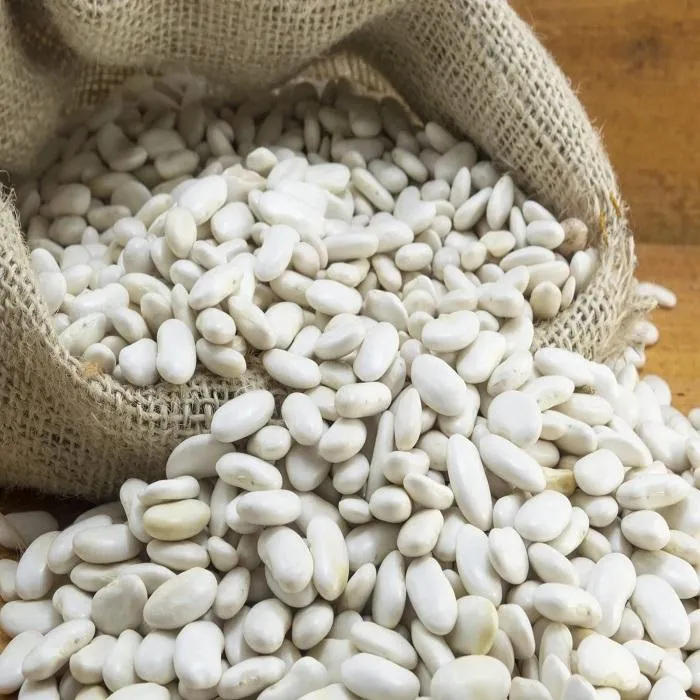 Wholesale Natural White Kidney Bean / Large White Kidney Beans