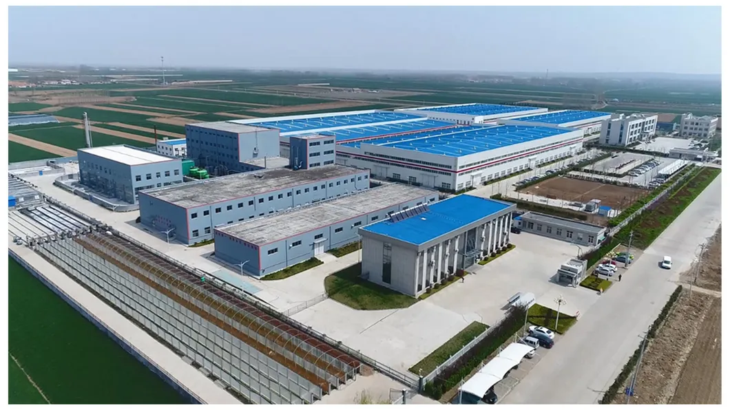 Natural Microalgae DHA Algal Algae Oil High Purity 50% DHA for Nutrition Supplements CAS6217-54-5