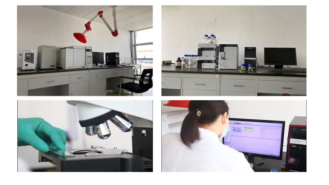 Natural Microalgae DHA Algal Algae Oil High Purity 50% DHA for Nutrition Supplements CAS6217-54-5